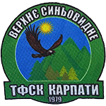 Верхнє Синьовидне